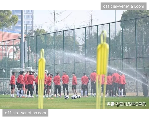 蓉城年龄结构合理 新老搭配展现阵容优势